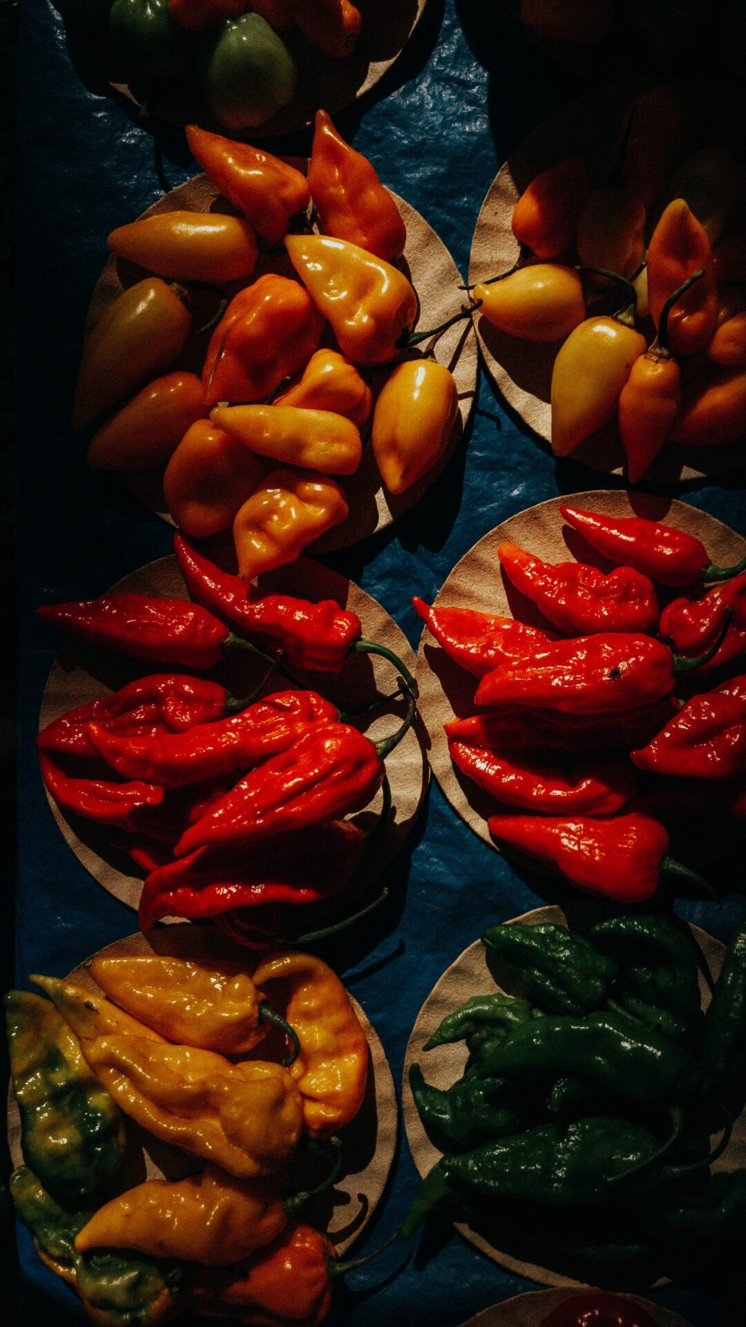 Jak przechowywać papryczkę chilli 1 Jak przechowywać papryczkę chilli