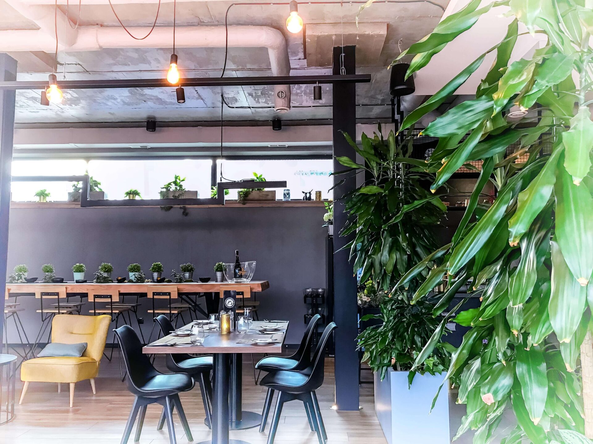 Restaurant & Bar Wilanowska No25 - elegancja i pyszne jedzenie 1 Restaurant & Bar Wilanowska No25