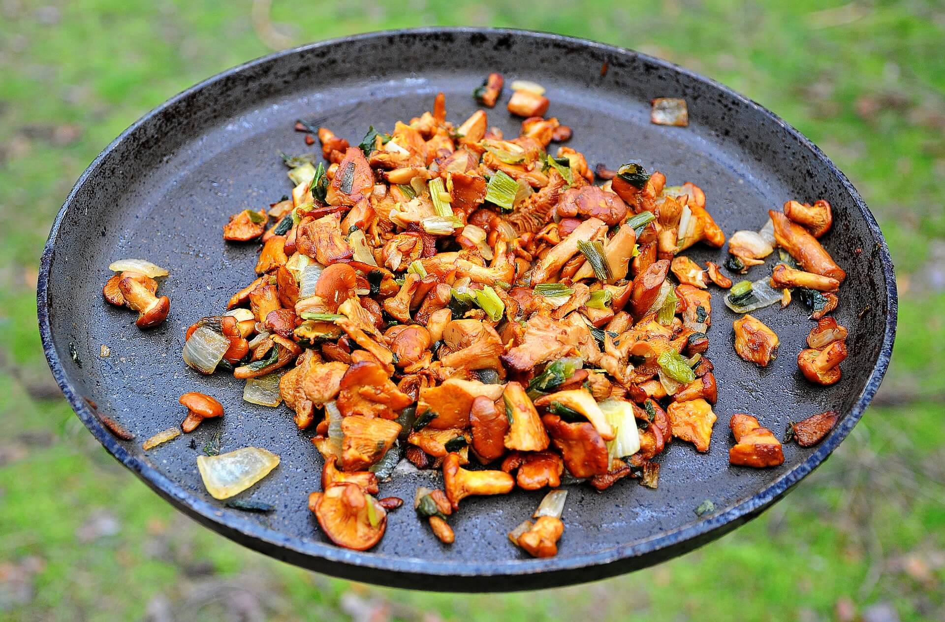 Makaron z kurkami 1 Makaron z kurkami