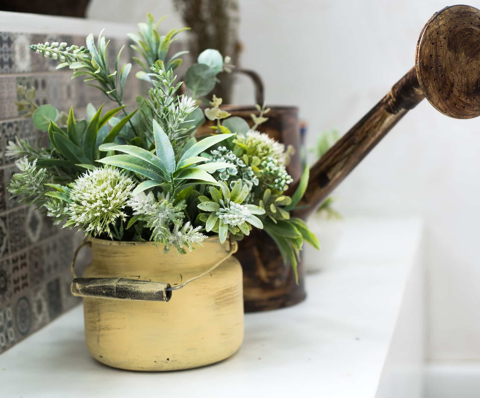 6 zaskakujących, niekulinarnych zastosowań jajek w domu 3 Podlewanie roślin.