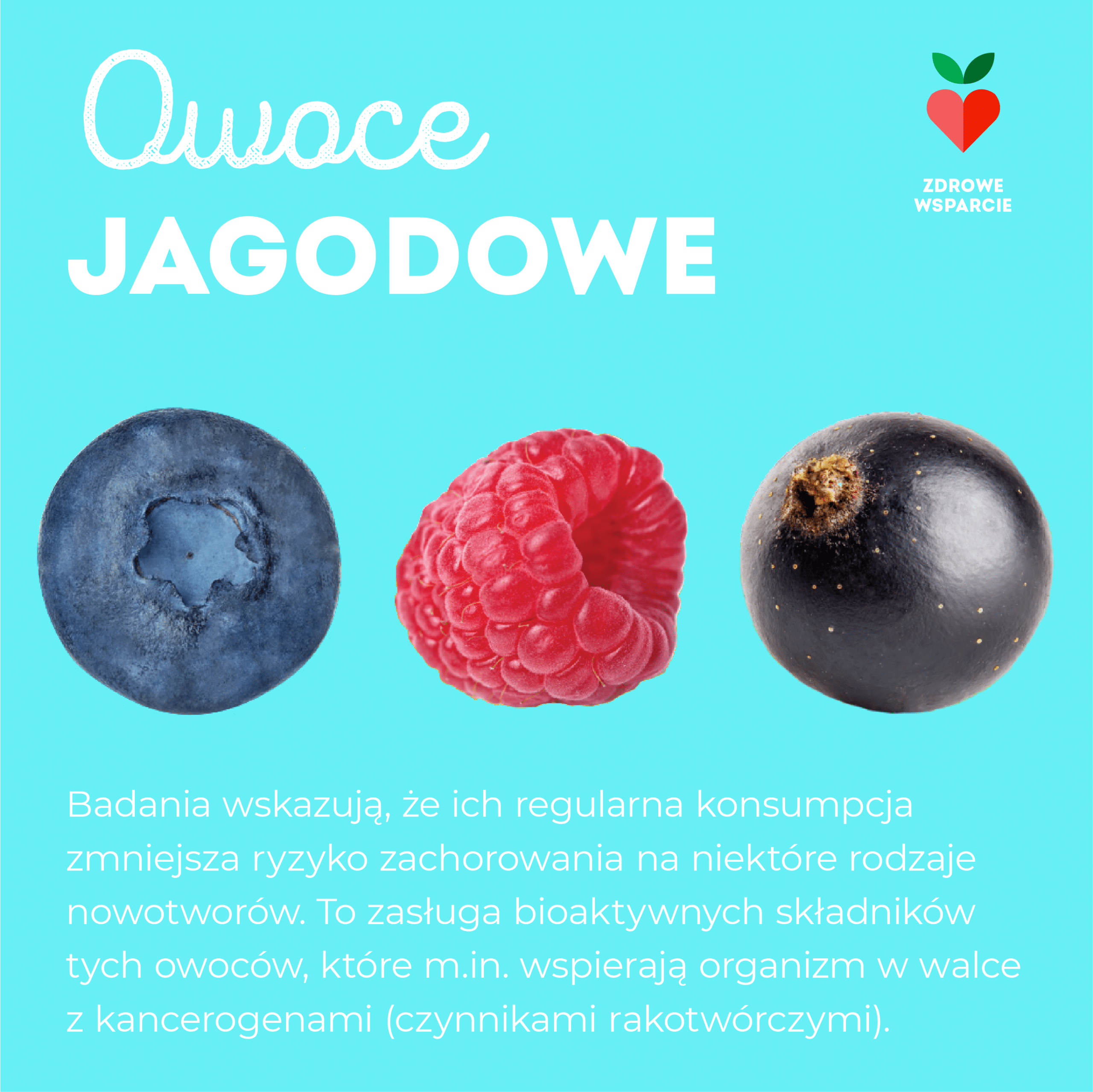 Owoce jagodowe a nowotwory