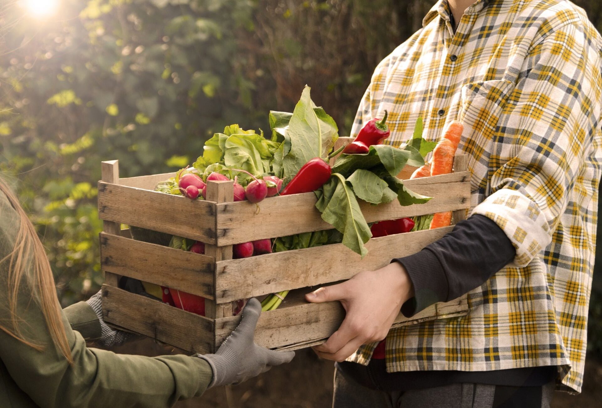 Maj na talerzu – okiem rolnika