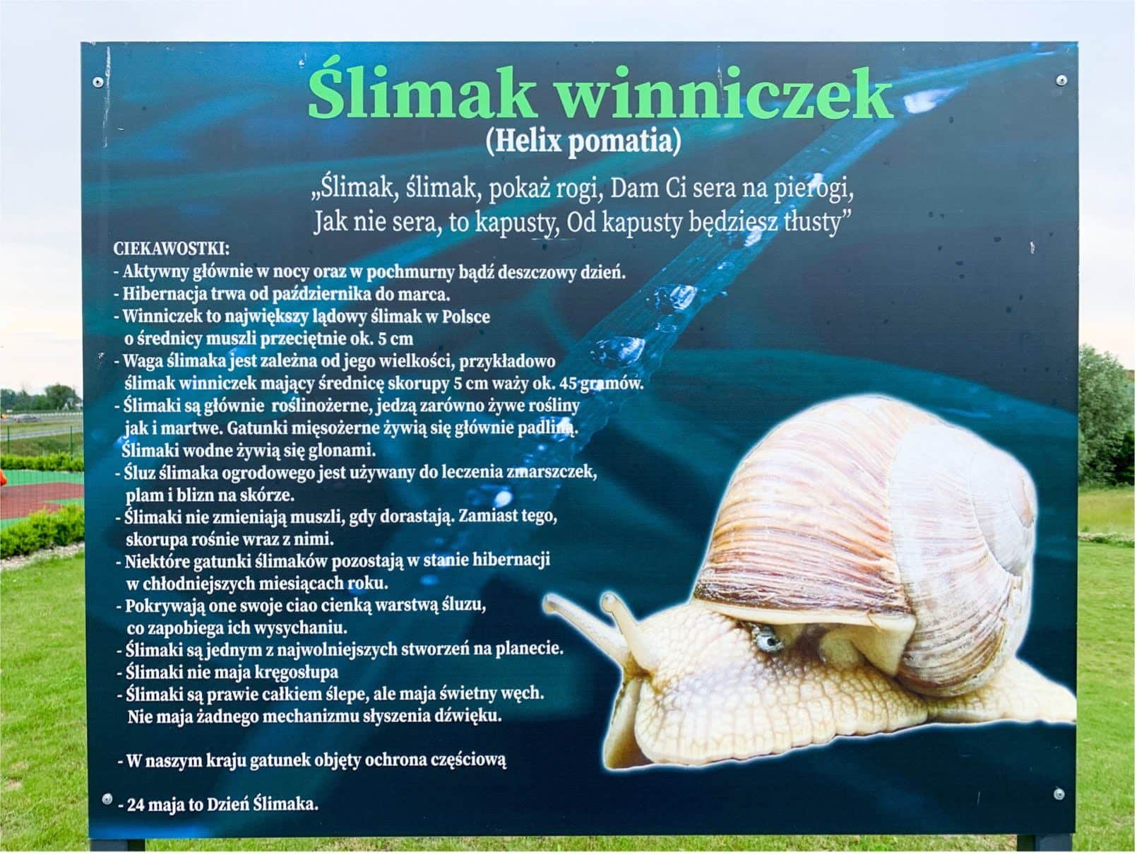 Kraina Ślimaka, czyli mix pysznej kuchni i doskonałego wypoczynku